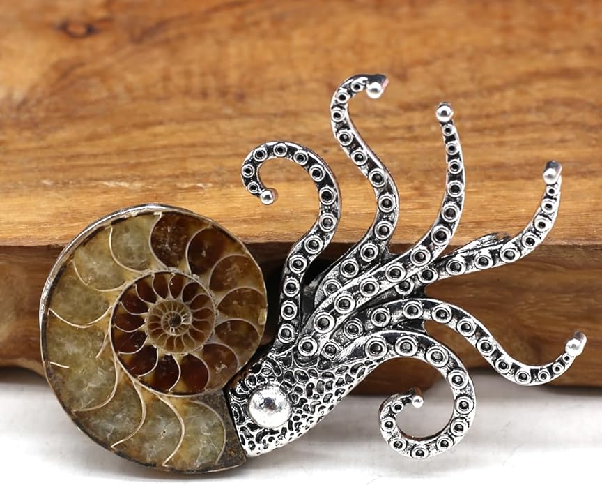 Natural Fossil Brooches Ammonite Shape Conch Shell Apparel Pin for Coat Dress Clothes Decoration
