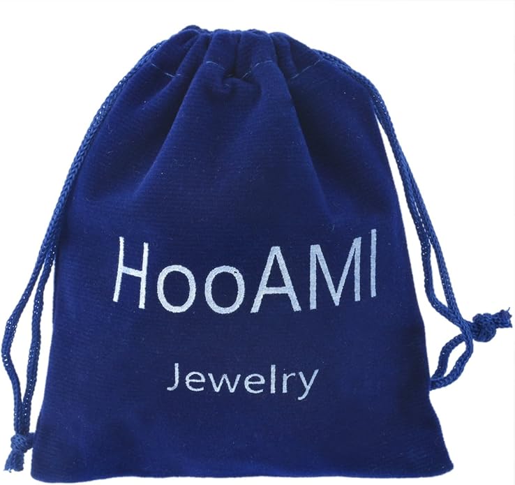 HooAMI Stainless Steel Silver Choker Necklace for Women