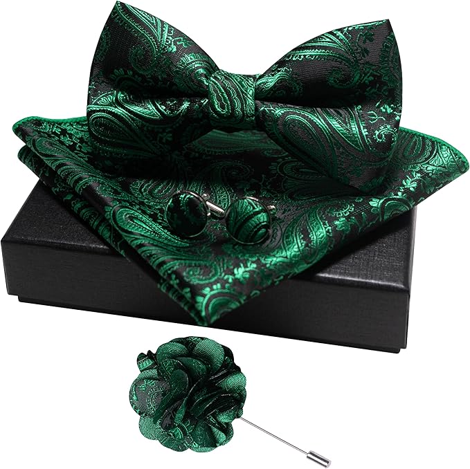 JEMYGINS Mens Paisley Bow Tie and Lapel Pin Necktie Pocket Square and Tie Clip with Sets for Business Casual 4PCS