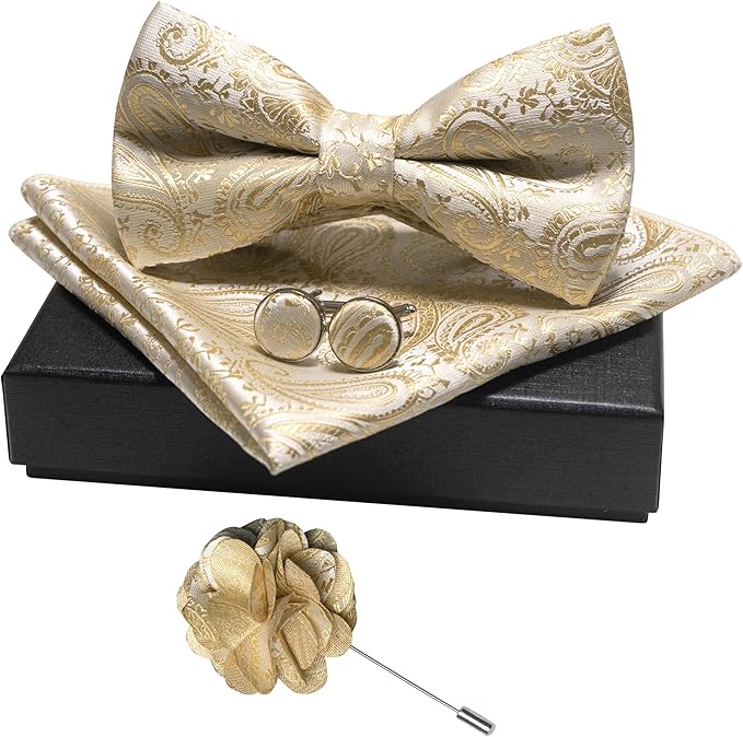 JEMYGINS Mens Paisley Bow Tie and Lapel Pin Necktie Pocket Square and Tie Clip with Sets for Business Casual 4PCS