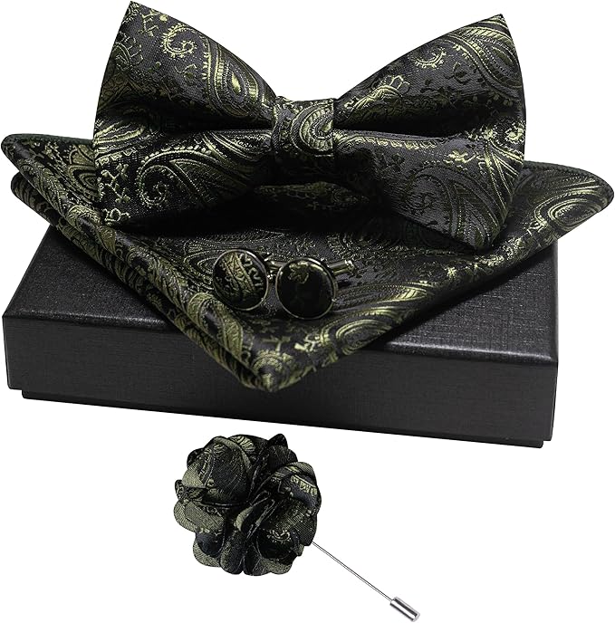 JEMYGINS Mens Paisley Bow Tie and Lapel Pin Necktie Pocket Square and Tie Clip with Sets for Business Casual 4PCS