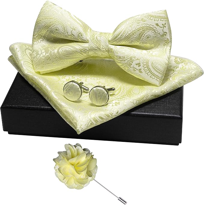 JEMYGINS Mens Paisley Bow Tie and Lapel Pin Necktie Pocket Square and Tie Clip with Sets for Business Casual 4PCS