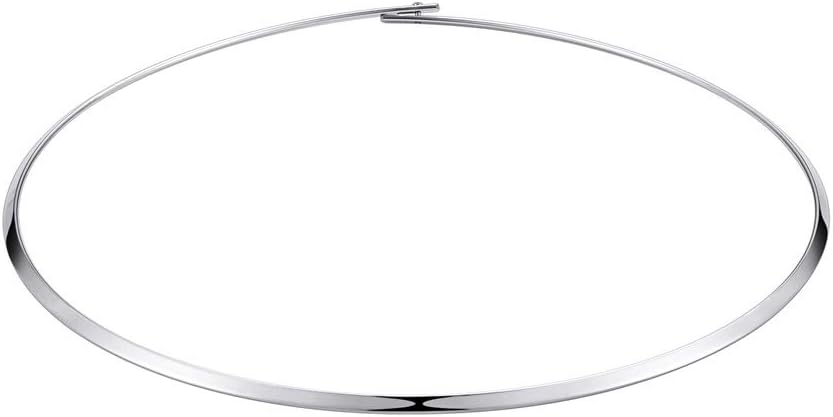 HooAMI Stainless Steel Silver Choker Necklace for Women