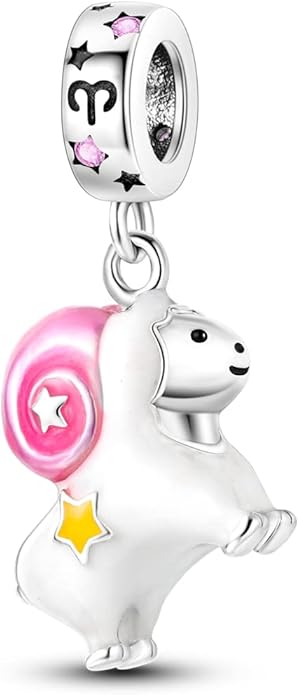 Parmuz Zodiac Sign Charms for Bracelet Necklace 925 Sterling Silver Charms 12 Constellation/Horoscope Star Dangle Birthstone Beads, Birthday Jewelry Gifts for Women Men