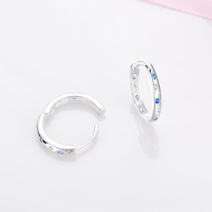 925 Sterling Silver Women Earrings, Sparkling Star and Moon Earrings, Various Hypoallergenic Earrings, Best Gift for Women