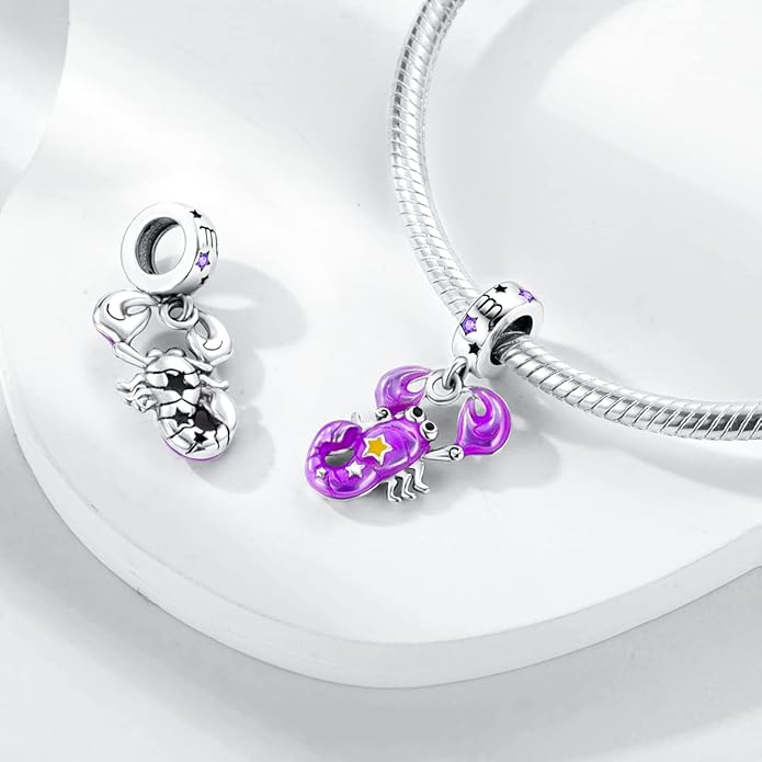 Parmuz Zodiac Sign Charms for Bracelet Necklace 925 Sterling Silver Charms 12 Constellation/Horoscope Star Dangle Birthstone Beads, Birthday Jewelry Gifts for Women Men