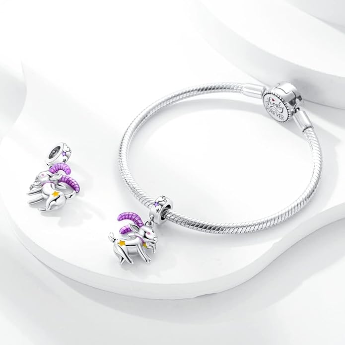 Parmuz Zodiac Sign Charms for Bracelet Necklace 925 Sterling Silver Charms 12 Constellation/Horoscope Star Dangle Birthstone Beads, Birthday Jewelry Gifts for Women Men