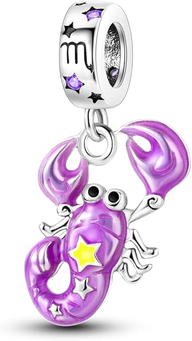 Parmuz Zodiac Sign Charms for Bracelet Necklace 925 Sterling Silver Charms 12 Constellation/Horoscope Star Dangle Birthstone Beads, Birthday Jewelry Gifts for Women Men