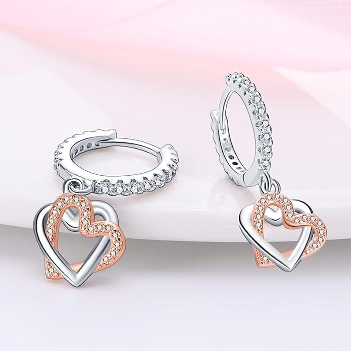 925 Sterling Silver Women Earrings, Sparkling Star and Moon Earrings, Various Hypoallergenic Earrings, Best Gift for Women