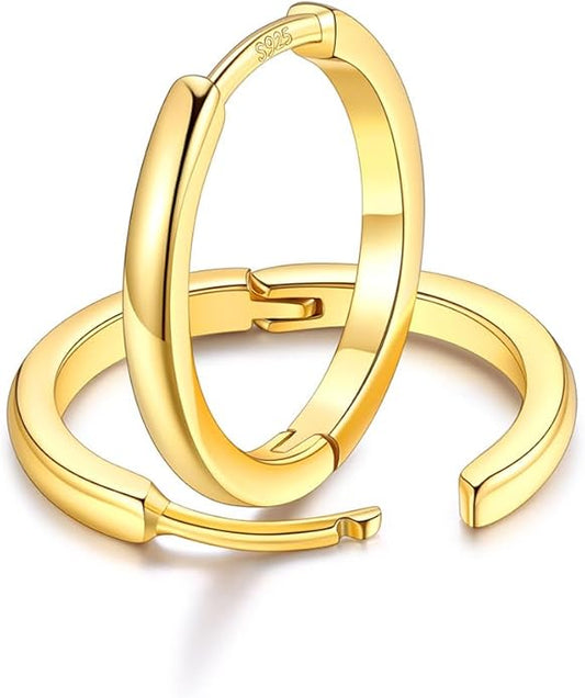 FaithHeart Sterling Silver Hoop Earrings for Women, Hypoallergenic Huggie Hoop Earrings Lightweight Small Cartilage Earrings Hoop Earring Dainty Everyday Earrings 6/8/10/12/14/15/16/18/20mm