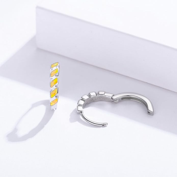 Small Hoop Earrings for Women 925 Sterling Silver Huggie Hoop Opal Earrings Hypoallergenic Earring Jewelry Gifts