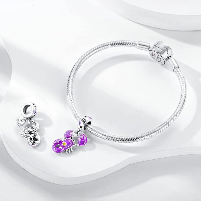 Parmuz Zodiac Sign Charms for Bracelet Necklace 925 Sterling Silver Charms 12 Constellation/Horoscope Star Dangle Birthstone Beads, Birthday Jewelry Gifts for Women Men