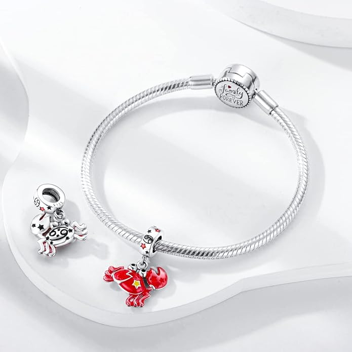 Parmuz Zodiac Sign Charms for Bracelet Necklace 925 Sterling Silver Charms 12 Constellation/Horoscope Star Dangle Birthstone Beads, Birthday Jewelry Gifts for Women Men
