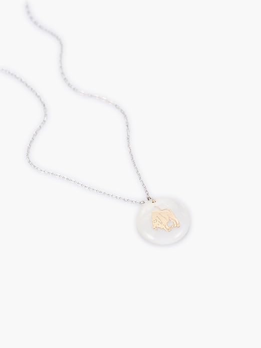 Zodiac Sign Necklace – Mother of Pearl Pendant – Available in Two Finish 925 Sterling Silver and 14K Gold Plated – Adjustable Chain – Horoscope Jewelry Gift with Zodiac Card & Gift Box