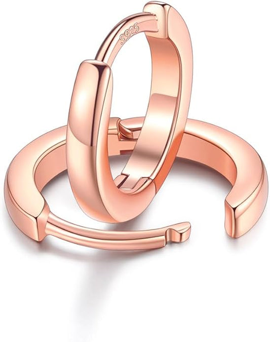 FaithHeart Sterling Silver Hoop Earrings for Women, Hypoallergenic Huggie Hoop Earrings Lightweight Small Cartilage Earrings Hoop Earring Dainty Everyday Earrings 6/8/10/12/14/15/16/18/20mm