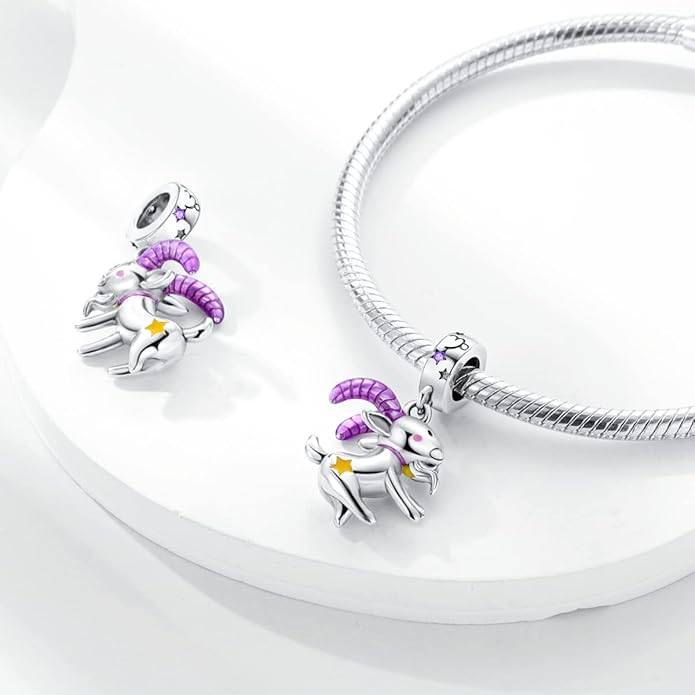 Parmuz Zodiac Sign Charms for Bracelet Necklace 925 Sterling Silver Charms 12 Constellation/Horoscope Star Dangle Birthstone Beads, Birthday Jewelry Gifts for Women Men