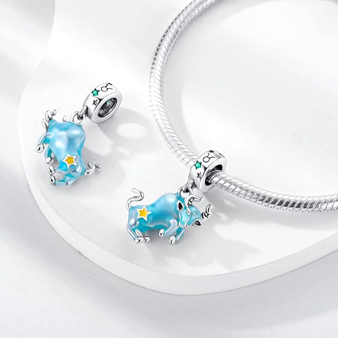 Parmuz Zodiac Sign Charms for Bracelet Necklace 925 Sterling Silver Charms 12 Constellation/Horoscope Star Dangle Birthstone Beads, Birthday Jewelry Gifts for Women Men