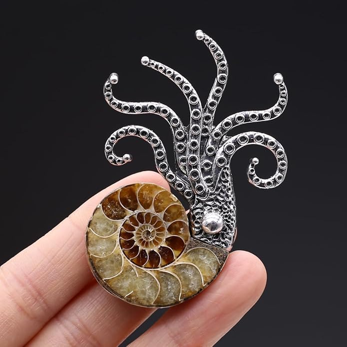 Natural Fossil Brooches Ammonite Shape Conch Shell Apparel Pin for Coat Dress Clothes Decoration