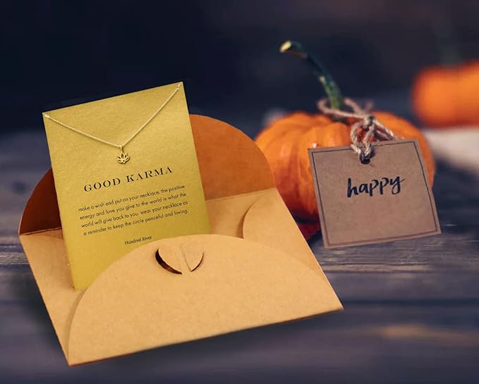 Hundred River Friendship Anchor Compass Necklace Good Luck Elephant Pendant Chain Necklace with Message Card