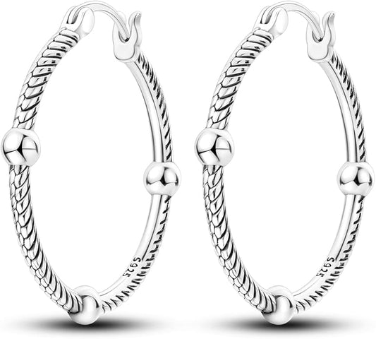 NARMO 925 Sterling Silver Hoop Earrings for Women Hypoallergenic Lightweight Simple Huggie Hoop Earrings Twisted Hoop Earrings Colorful Cubic Zirconia Hoop Earrings Rainbow Hoop Earrings