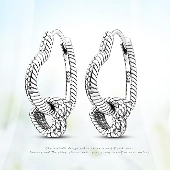 925 Sterling Silver Women Earrings, Sparkling Star and Moon Earrings, Various Hypoallergenic Earrings, Best Gift for Women