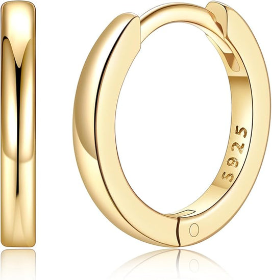Silvora 925 Sterling Silver Small Hoop Earrings for Women Huggie Earrings Hypoallergenic Cartilage Earrings Tiny Hoops 6mm/8mm/10mm/12mm/14mm/16mm/18mm/20mm