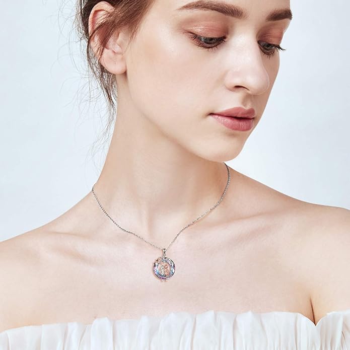 AOBOCO Gifts for Sister 2 3 Sisters Necklace for Women Sterling Silver Sister Crystal Pendant Jewelry Birthday Christmas Gifts for Friend Female Friendship Lasts Forever