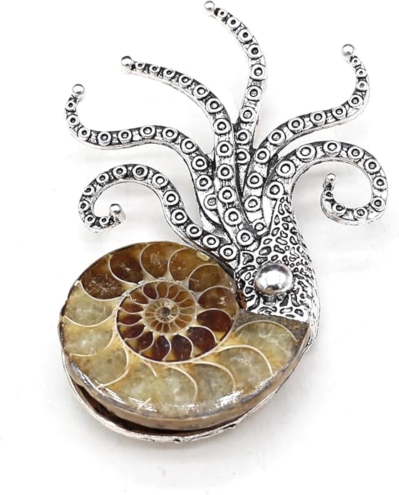 Natural Fossil Brooches Ammonite Shape Conch Shell Apparel Pin for Coat Dress Clothes Decoration