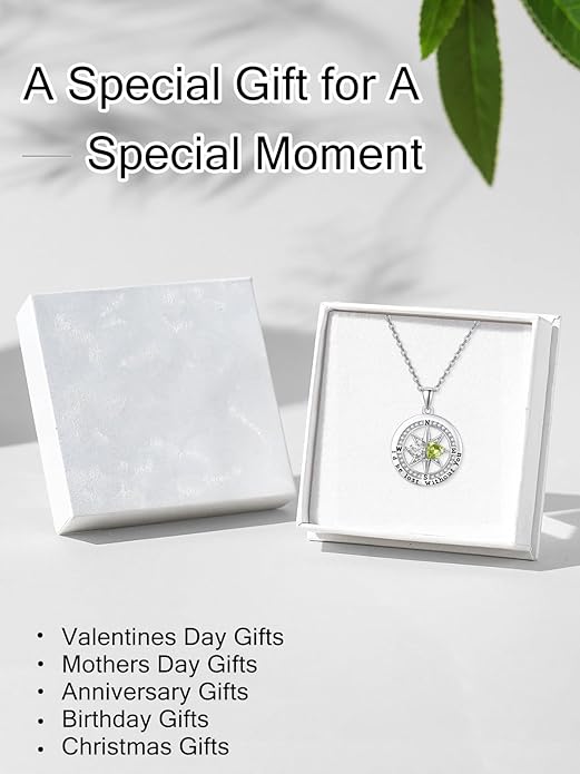 Compass Birthstones Necklace for Women, Exquisite Anniversary Birthday Gifts for Wife Her Double Birthstone Pendant jewelry ‘I'd be Lost Without You’
