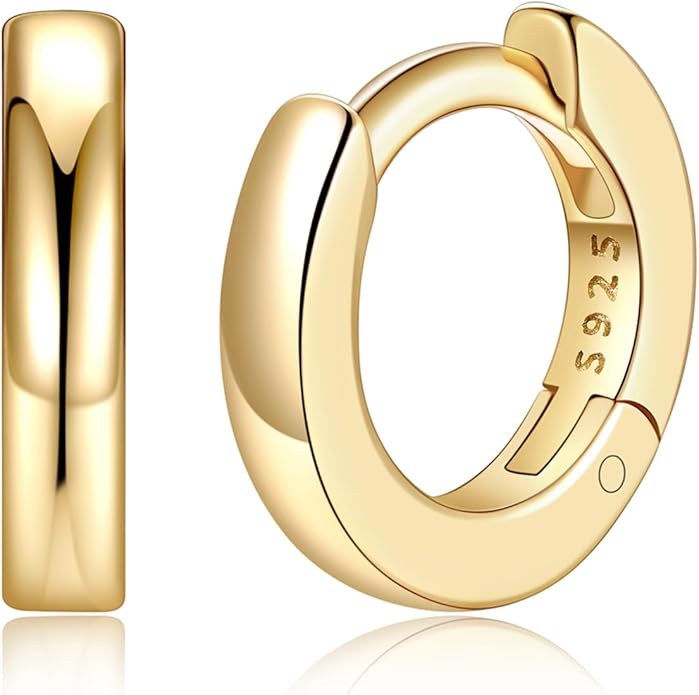 Silvora 925 Sterling Silver Small Hoop Earrings for Women Huggie Earrings Hypoallergenic Cartilage Earrings Tiny Hoops 6mm/8mm/10mm/12mm/14mm/16mm/18mm/20mm