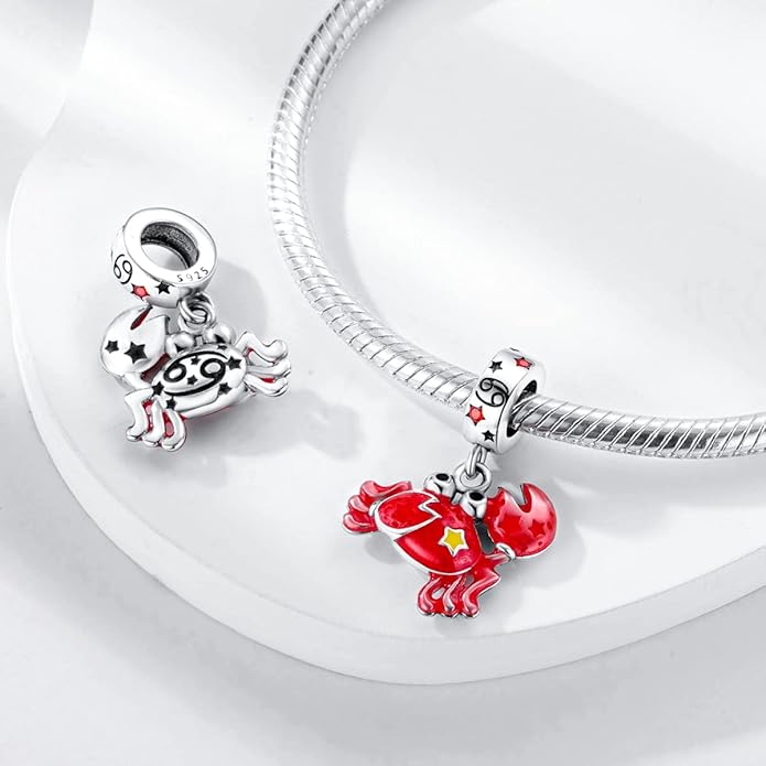 Parmuz Zodiac Sign Charms for Bracelet Necklace 925 Sterling Silver Charms 12 Constellation/Horoscope Star Dangle Birthstone Beads, Birthday Jewelry Gifts for Women Men