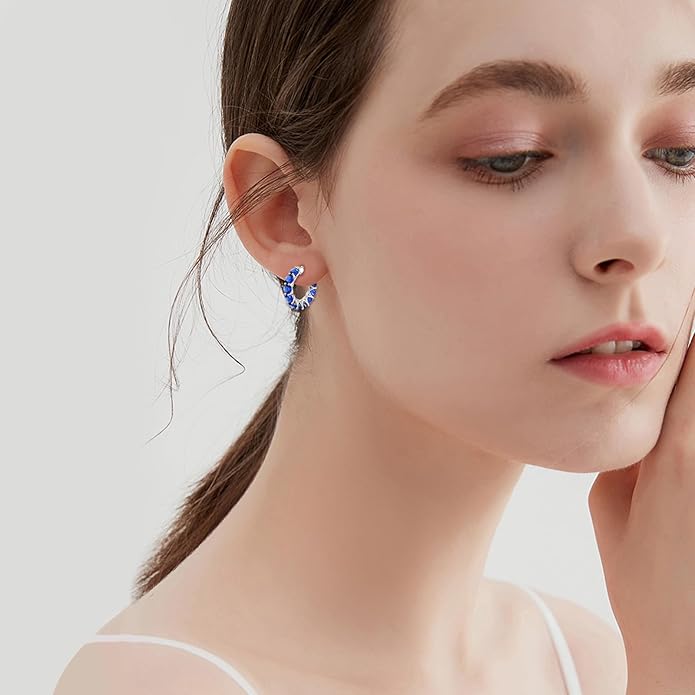 Sterling Silver Hoop Earrings Small Hoop Sun/Leaf/Triangle Huggie Earrings for Women Hypoallergenic