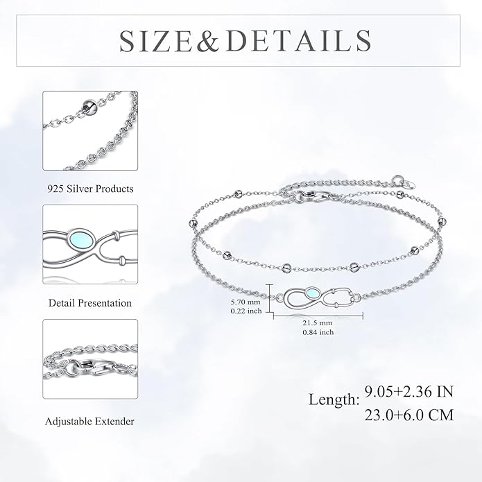 TIGER RIDER Dragonfly Anklet Sterling Silver Dragonfly Gifts Jewelry for Women with Crystal Birthday Anniversary