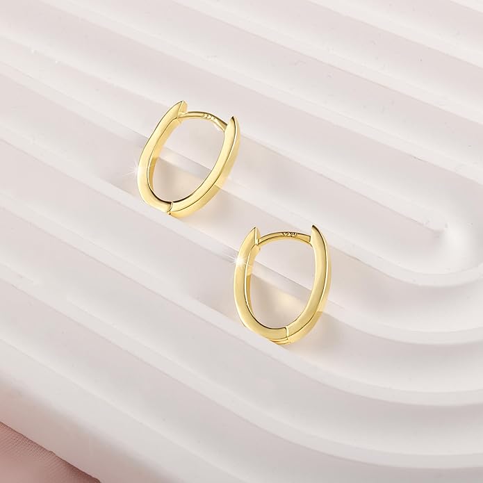 925 Sterling Silver Earrings Small Chunky Silver Earrings for Women Trendy 14K Gold Plated Hypoallergenic Cute Thick Huggie Hoops Earing Jewelry for Women Gifts