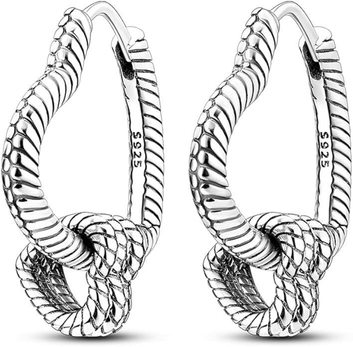 925 Sterling Silver Women Earrings, Sparkling Star and Moon Earrings, Various Hypoallergenic Earrings, Best Gift for Women