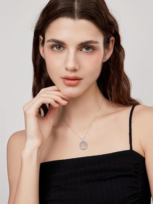 Seiyang 925 Sterling Silver Mustard Seed/Cross/Star of David/Triquetra Trinity Knot/Celtic/Claddagh Necklace Christian/Irish Jewelry Gifts for Women Mom Her