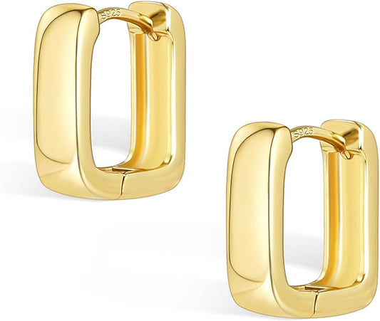 925 Sterling Silver Earrings Small Chunky Silver Earrings for Women Trendy 14K Gold Plated Hypoallergenic Cute Thick Huggie Hoops Earing Jewelry for Women Gifts