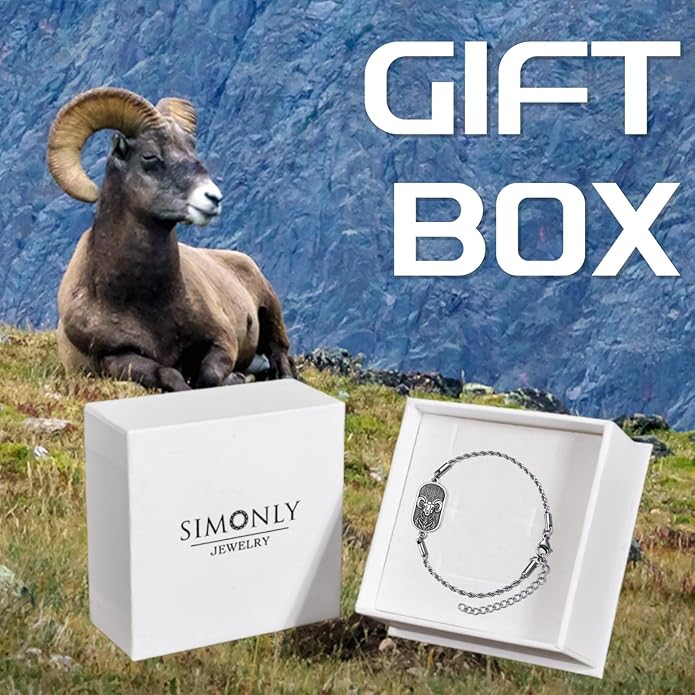 SIMONLY Zodiac Bracelet 925 Sterling Silver Constellation Anklet Horoscope Zodiac Jewelry Christmas Birthday Astrology Gifts for Women Men Unisex