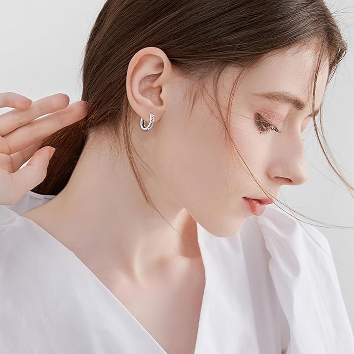 Sterling Silver Hoop Earrings Small Hoop Sun/Leaf/Triangle Huggie Earrings for Women Hypoallergenic