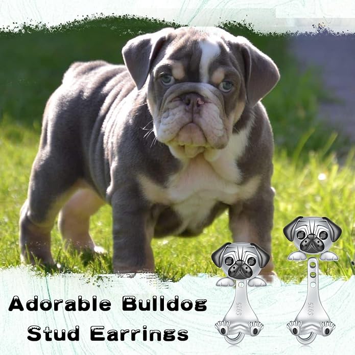 Animal Jacket Earrings for Womens 925 Sterling Silver Axolotl Pug Cat Goat Earrings Cute 3D Earrings Jacket Hypoallergenic