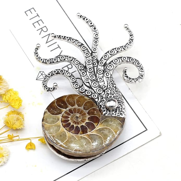 Natural Fossil Brooches Ammonite Shape Conch Shell Apparel Pin for Coat Dress Clothes Decoration