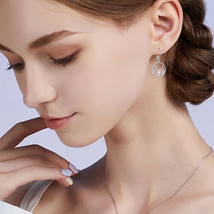 Animal Earrings 925 Sterling Silver Dangle Earrings Leverback Earrings Animal Jewelry for Women