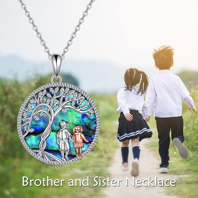 AOBOCO Gifts for Sister 2 3 Sisters Necklace for Women Sterling Silver Sister Crystal Pendant Jewelry Birthday Christmas Gifts for Friend Female Friendship Lasts Forever
