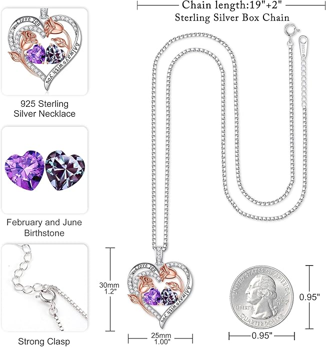Iefil Birthstone Necklace for Women - 925 Sterling Silver Rose Heart Birthstone Necklace Birthday Anniversary Jewelry Gifts for Her Wife Mom Daughter