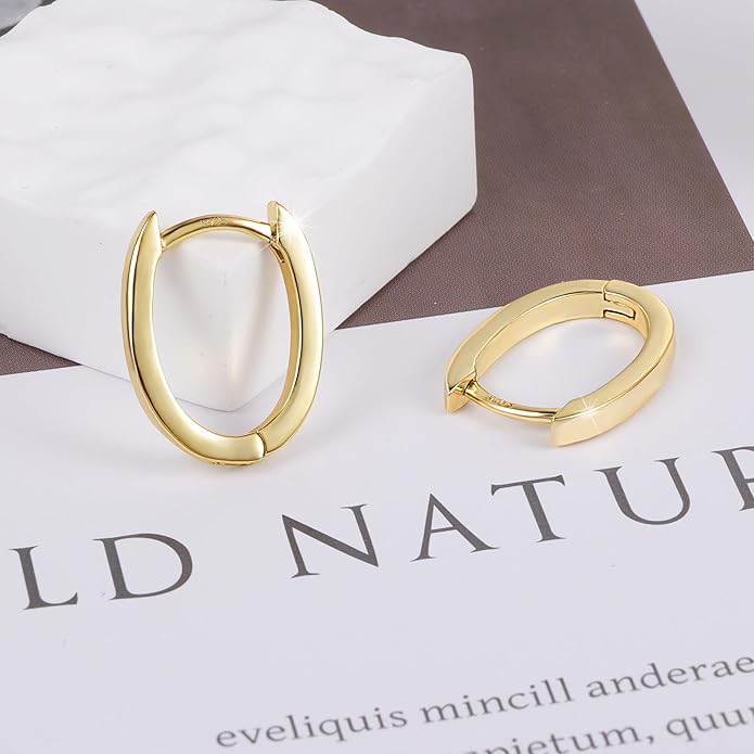 925 Sterling Silver Earrings Small Chunky Silver Earrings for Women Trendy 14K Gold Plated Hypoallergenic Cute Thick Huggie Hoops Earing Jewelry for Women Gifts