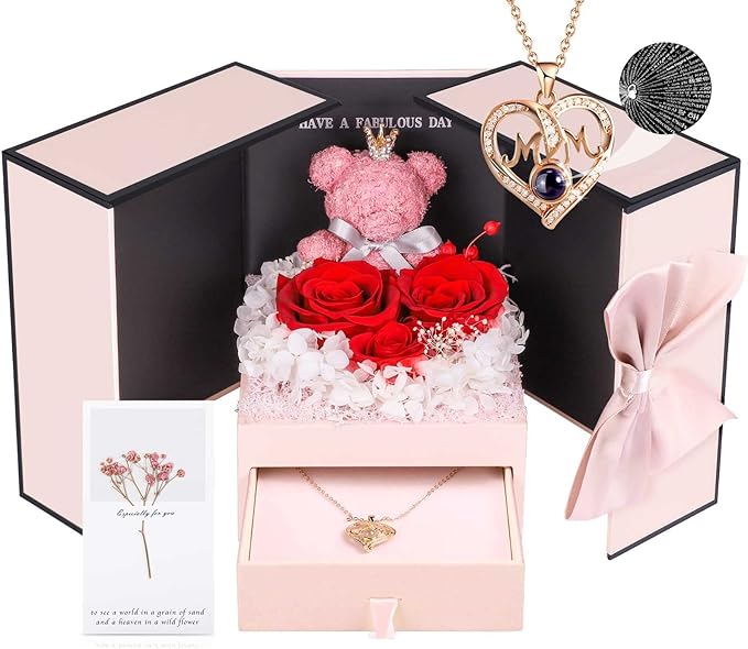 ADDWel Gifts for Mom from Daughter and Son, Unique Mother Birthday Xmas Gift Idea, Preserved Real Roses with I Love You in 100 Languages Mom Necklace, Cool to Mother Mama