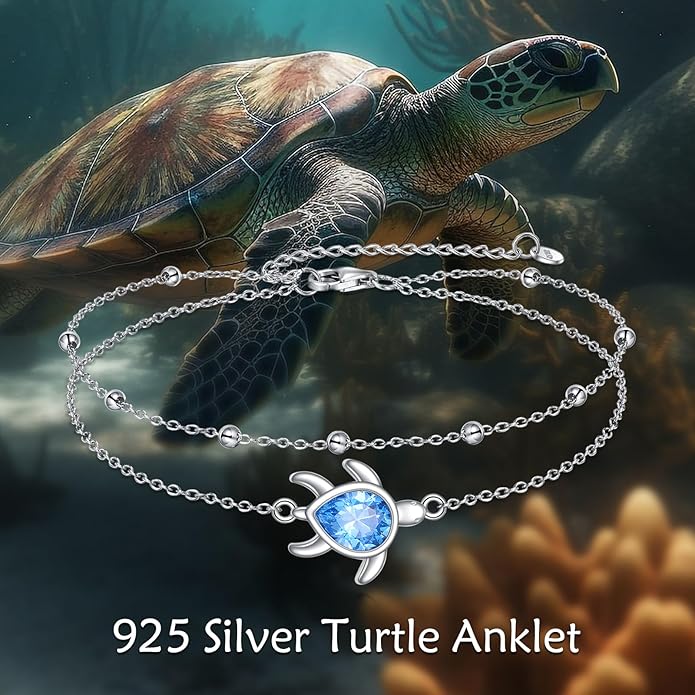 TIGER RIDER Dragonfly Anklet Sterling Silver Dragonfly Gifts Jewelry for Women with Crystal Birthday Anniversary