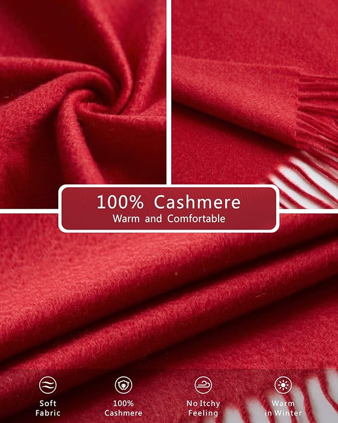EURKEA 100% Cashmere 2025 Winter Scarf for Women Fringed Edges Warm & Soft Lightweight Solid/Plaid/Two-Tone Free Size