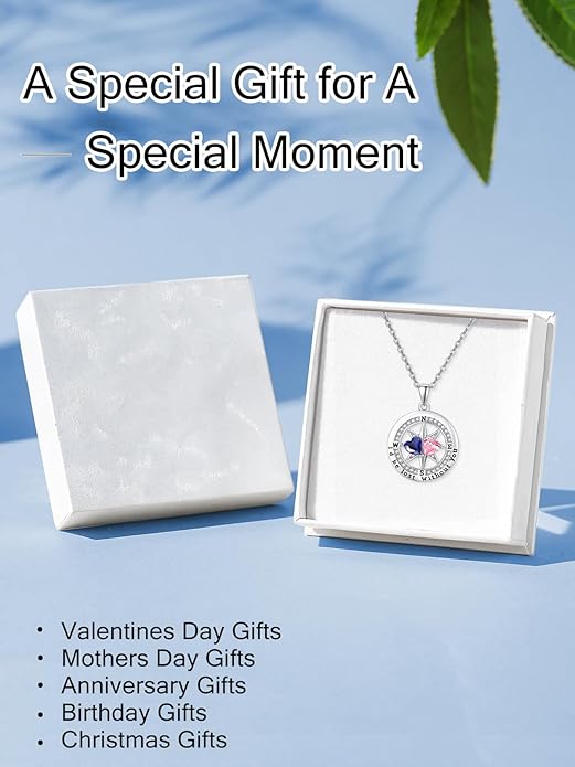 JIYVY32 Compass Birthstones Necklace for Women, Exquisite S925 Necklace Anniversary Birthday Gifts for Wife Her Double Birthstone Pendant jewelry ‘I'd be Lost Without You’