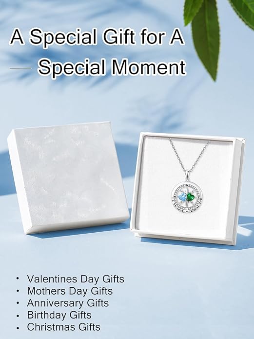 JIYVY32 Compass Birthstones Necklace for Women, Exquisite S925 Necklace Anniversary Birthday Gifts for Wife Her Double Birthstone Pendant jewelry ‘I'd be Lost Without You’